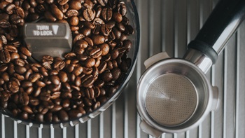 Graines de café